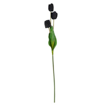 Load image into Gallery viewer, Tall Black Triple Tulip Stem
