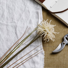 Load image into Gallery viewer, Cream Aster Spider Chrysanthemum Stem
