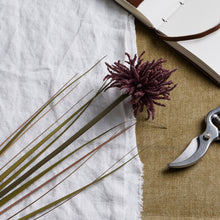 Load image into Gallery viewer, Burgundy Aster Spider Chrysanthemum Stem
