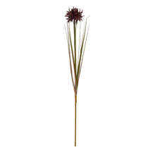 Load image into Gallery viewer, Burgundy Aster Spider Chrysanthemum Stem
