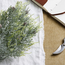 Load image into Gallery viewer, Frosted Pine Spray Stem With Pinecones
