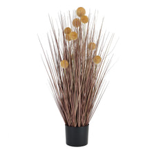 Load image into Gallery viewer, Large Coffee Pompom Alliums In Black Pot
