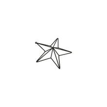 Load image into Gallery viewer, Matt Black Convexed Medium Star Frame
