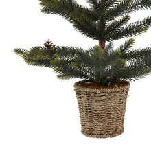 Load image into Gallery viewer, Medium Spruce Tree With Wicker Basket
