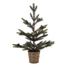 Load image into Gallery viewer, Medium Spruce Tree With Wicker Basket
