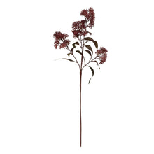 Load image into Gallery viewer, Medium Burgundy Smokebush Stem
