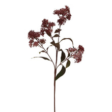 Load image into Gallery viewer, Medium Burgundy Smokebush Stem
