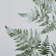 Load image into Gallery viewer, Watercolour Bracken Fern In Washed Wood Frame
