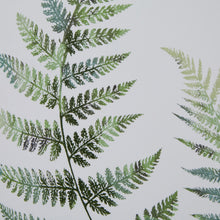 Load image into Gallery viewer, Watercolour Fern Duo In Washed Wood Frame
