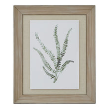 Load image into Gallery viewer, Watercolour Delicate Fern In Washed Wood Frame
