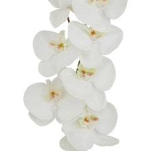 Load image into Gallery viewer, Tall White Butterfly Orchid Stem
