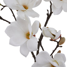 Load image into Gallery viewer, The Natural Garden Collection White Magnolia Stem
