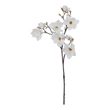 Load image into Gallery viewer, The Natural Garden Collection White Magnolia Stem
