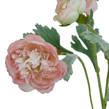 Load image into Gallery viewer, The Natural Garden Collection Pink Ranunculus
