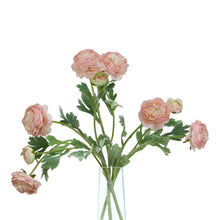 Load image into Gallery viewer, The Natural Garden Collection Pink Ranunculus
