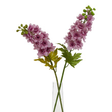 Load image into Gallery viewer, The Natural Garden Collection Purple Elatum Delphinium
