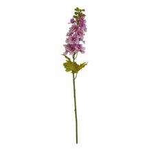 Load image into Gallery viewer, The Natural Garden Collection Purple Elatum Delphinium
