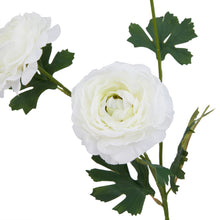 Load image into Gallery viewer, The Natural Garden Collection White Ranunculus
