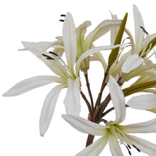 Load image into Gallery viewer, The Natural Garden Collection White Lily Stem
