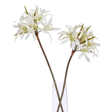 Load image into Gallery viewer, The Natural Garden Collection White Lily Stem
