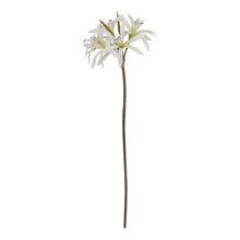 Load image into Gallery viewer, The Natural Garden Collection White Lily Stem
