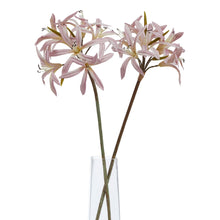 Load image into Gallery viewer, The Natural Garden Collection Pink Lily Stem
