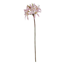 Load image into Gallery viewer, The Natural Garden Collection Pink Lily Stem
