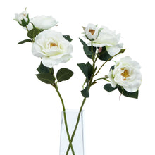 Load image into Gallery viewer, The Natural Garden Collection White Tea Rose
