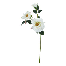 Load image into Gallery viewer, The Natural Garden Collection White Tea Rose
