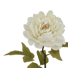 Load image into Gallery viewer, The Natural Garden Collection White Peony
