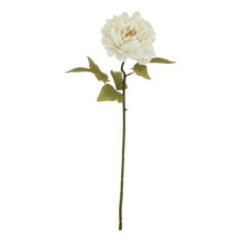 Load image into Gallery viewer, The Natural Garden Collection White Peony
