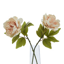 Load image into Gallery viewer, The Natural Garden Collection Blush Peony
