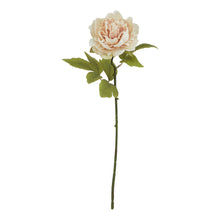 Load image into Gallery viewer, The Natural Garden Collection Blush Peony
