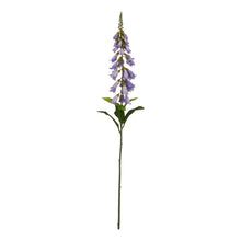 Load image into Gallery viewer, The Natural Garden Collection Mauve Foxglove
