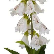 Load image into Gallery viewer, The Natural Garden Collection White Foxglove
