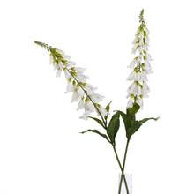 Load image into Gallery viewer, The Natural Garden Collection White Foxglove
