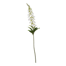 Load image into Gallery viewer, The Natural Garden Collection White Foxglove
