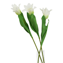 Load image into Gallery viewer, The Natural Garden Collection White Parrot Tulip
