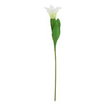 Load image into Gallery viewer, The Natural Garden Collection White Parrot Tulip
