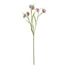 Load image into Gallery viewer, The Natural Garden Collection Purple Fritillaria Stem
