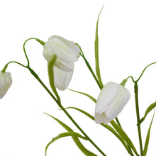 Load image into Gallery viewer, The Natural Garden Collection White Fritillaria Stem
