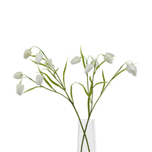 Load image into Gallery viewer, The Natural Garden Collection White Fritillaria Stem
