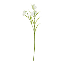 Load image into Gallery viewer, The Natural Garden Collection White Fritillaria Stem
