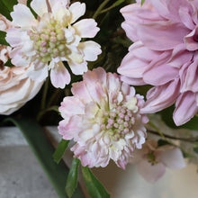 Load image into Gallery viewer, The Natural Garden Collection Pale Pink Scabious Stem
