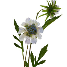 Load image into Gallery viewer, Pale Blue Scabious Stem
