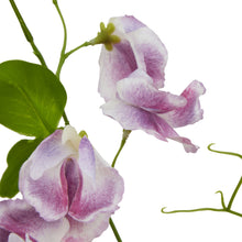 Load image into Gallery viewer, The Natural Garden Collection Purple Sweetpea Stem
