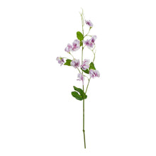 Load image into Gallery viewer, The Natural Garden Collection Purple Sweetpea Stem
