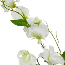 Load image into Gallery viewer, The Natural Garden Collection White Sweetpea Stem
