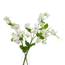 Load image into Gallery viewer, The Natural Garden Collection White Sweetpea Stem
