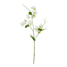 Load image into Gallery viewer, The Natural Garden Collection White Sweetpea Stem
